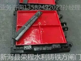 �T�F���l�T